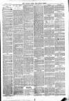 Totnes Weekly Times Saturday 23 December 1893 Page 7