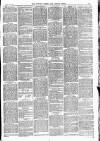 Totnes Weekly Times Saturday 27 January 1894 Page 3