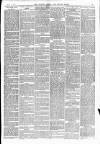 Totnes Weekly Times Saturday 17 February 1894 Page 3