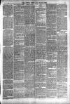 Totnes Weekly Times Saturday 07 April 1894 Page 3