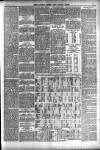 Totnes Weekly Times Saturday 03 November 1894 Page 7