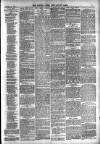 Totnes Weekly Times Saturday 10 November 1894 Page 3
