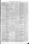 Totnes Weekly Times Saturday 06 April 1895 Page 3