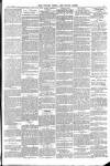 Totnes Weekly Times Saturday 06 April 1895 Page 5