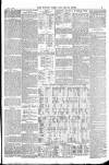 Totnes Weekly Times Saturday 01 June 1895 Page 3