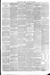 Totnes Weekly Times Saturday 29 June 1895 Page 3