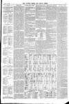 Totnes Weekly Times Saturday 29 June 1895 Page 7
