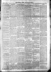 Totnes Weekly Times Saturday 01 January 1898 Page 3