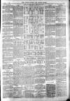 Totnes Weekly Times Saturday 15 January 1898 Page 3