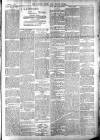 Totnes Weekly Times Saturday 05 February 1898 Page 3