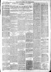 Totnes Weekly Times Saturday 26 February 1898 Page 3