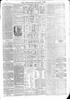 Totnes Weekly Times Saturday 25 February 1899 Page 7