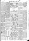 Totnes Weekly Times Saturday 25 March 1899 Page 7