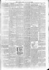 Totnes Weekly Times Saturday 24 June 1899 Page 3