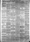 Totnes Weekly Times Saturday 14 April 1900 Page 3