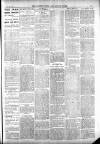 Totnes Weekly Times Saturday 09 June 1900 Page 3