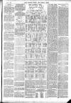 Totnes Weekly Times Saturday 16 June 1900 Page 7