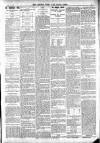 Totnes Weekly Times Saturday 07 July 1900 Page 3