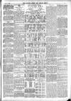 Totnes Weekly Times Saturday 07 July 1900 Page 7