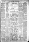 Totnes Weekly Times Saturday 25 August 1900 Page 7