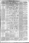 Totnes Weekly Times Saturday 23 February 1901 Page 7