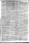 Totnes Weekly Times Saturday 02 March 1901 Page 3