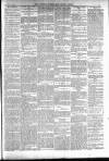 Totnes Weekly Times Saturday 02 March 1901 Page 5