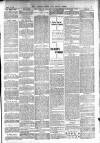 Totnes Weekly Times Saturday 09 March 1901 Page 3