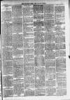 Totnes Weekly Times Saturday 06 July 1901 Page 7