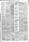Totnes Weekly Times Saturday 20 July 1901 Page 3
