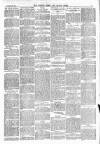 Totnes Weekly Times Saturday 16 November 1901 Page 7