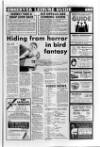 Leighton Buzzard Observer and Linslade Gazette Tuesday 21 January 1986 Page 31