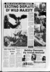 Leighton Buzzard Observer and Linslade Gazette Tuesday 03 June 1986 Page 15