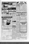 Leighton Buzzard Observer and Linslade Gazette Tuesday 29 July 1986 Page 31