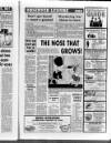 Leighton Buzzard Observer and Linslade Gazette Tuesday 29 July 1986 Page 39