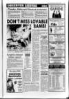 Leighton Buzzard Observer and Linslade Gazette Tuesday 28 October 1986 Page 39