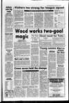 Leighton Buzzard Observer and Linslade Gazette Tuesday 04 November 1986 Page 51