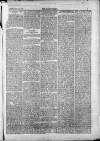 Bacup Times and Rossendale Advertiser Saturday 15 February 1873 Page 7