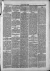Bacup Times and Rossendale Advertiser Saturday 22 February 1873 Page 5
