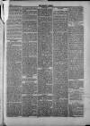 Bacup Times and Rossendale Advertiser Saturday 29 March 1873 Page 5