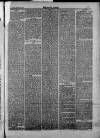 Bacup Times and Rossendale Advertiser Saturday 29 March 1873 Page 7