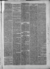 Bacup Times and Rossendale Advertiser Saturday 05 April 1873 Page 6