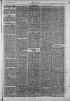 Bacup Times and Rossendale Advertiser Saturday 21 June 1873 Page 7