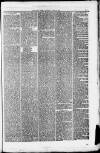 Bacup Times and Rossendale Advertiser Saturday 24 June 1876 Page 7