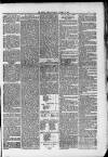 Bacup Times and Rossendale Advertiser Saturday 04 August 1877 Page 7