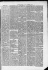 Bacup Times and Rossendale Advertiser Saturday 01 September 1877 Page 5