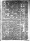 The Halesworth Times and East Suffolk Advertiser. Tuesday 16 March 1880 Page 3