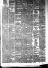 The Halesworth Times and East Suffolk Advertiser. Tuesday 23 March 1880 Page 3