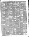 Walsall Free Press and General Advertiser Saturday 04 June 1870 Page 3