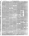 Walsall Free Press and General Advertiser Saturday 24 October 1874 Page 3